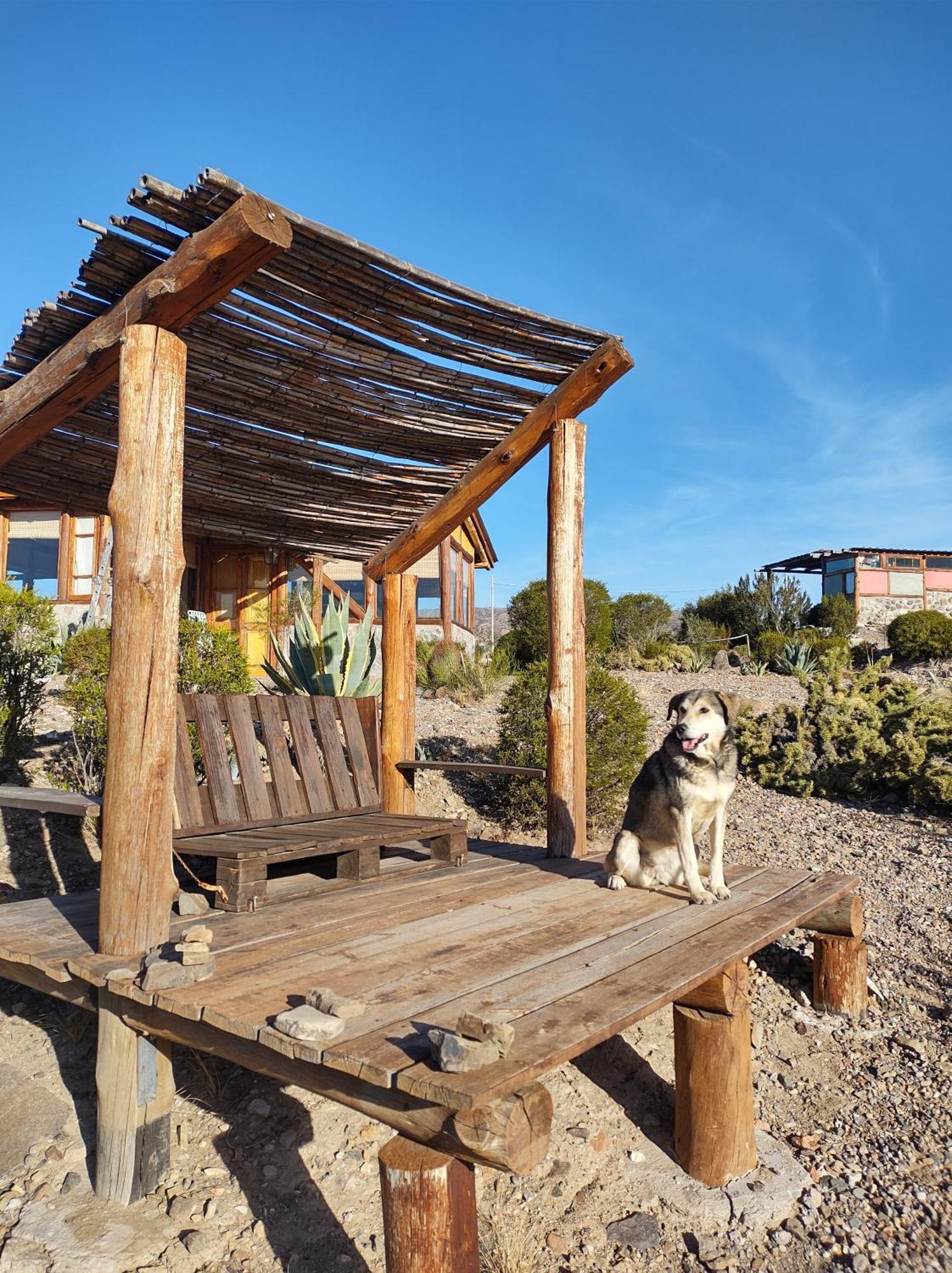 Cabana La Mostacita - Complejo El Taller Potrerillos Dış mekan fotoğraf