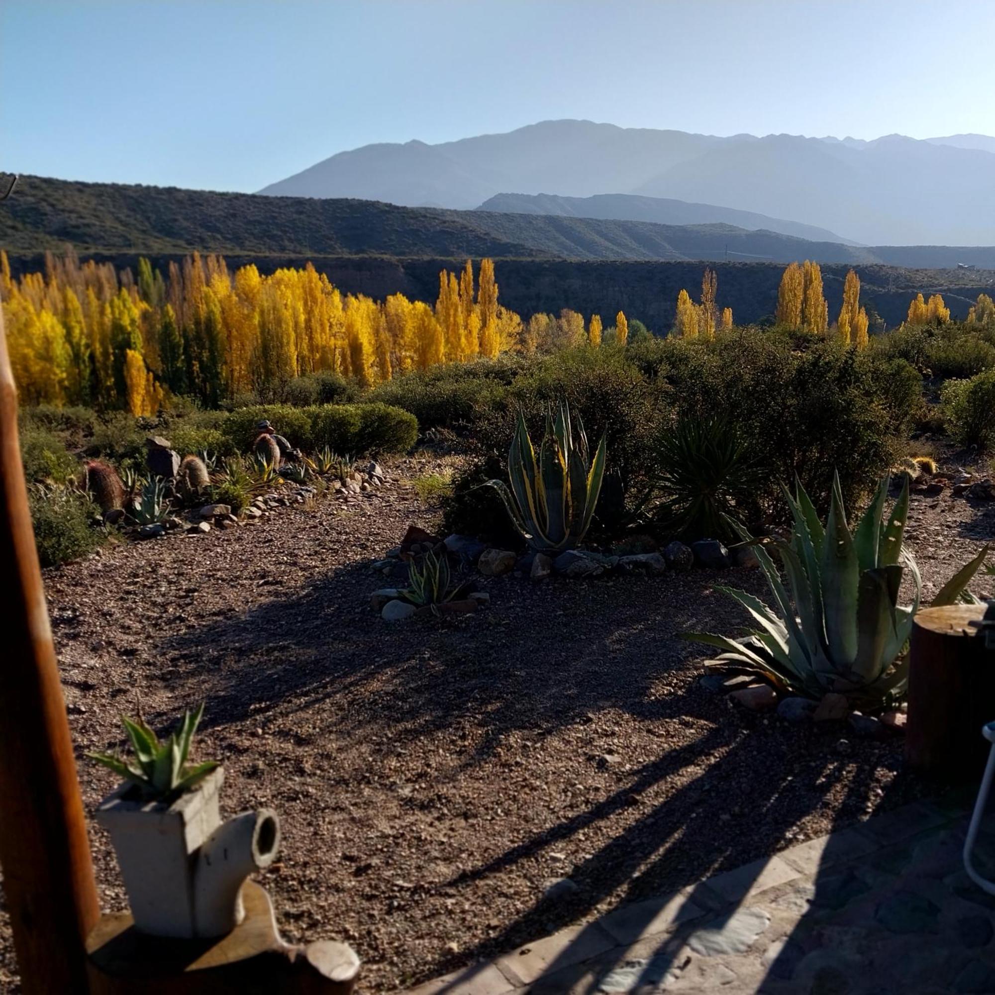 Cabana La Mostacita - Complejo El Taller Potrerillos Dış mekan fotoğraf